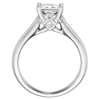Tabitha Princess-Cut Diamond Solitaire with Wide Band by Eternity (.14 ctw.)