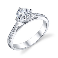 Delia Cathedral Diamond Ring (.08 ctw.)