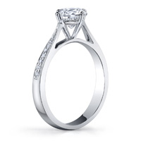 Delia Cathedral Diamond Ring (.08 ctw.)
