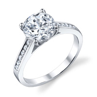 Viola Channel Set Cathedral Diamond Ring (.24 ctw.)